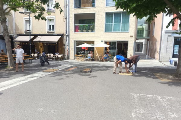 IMG_20260530_150206_1